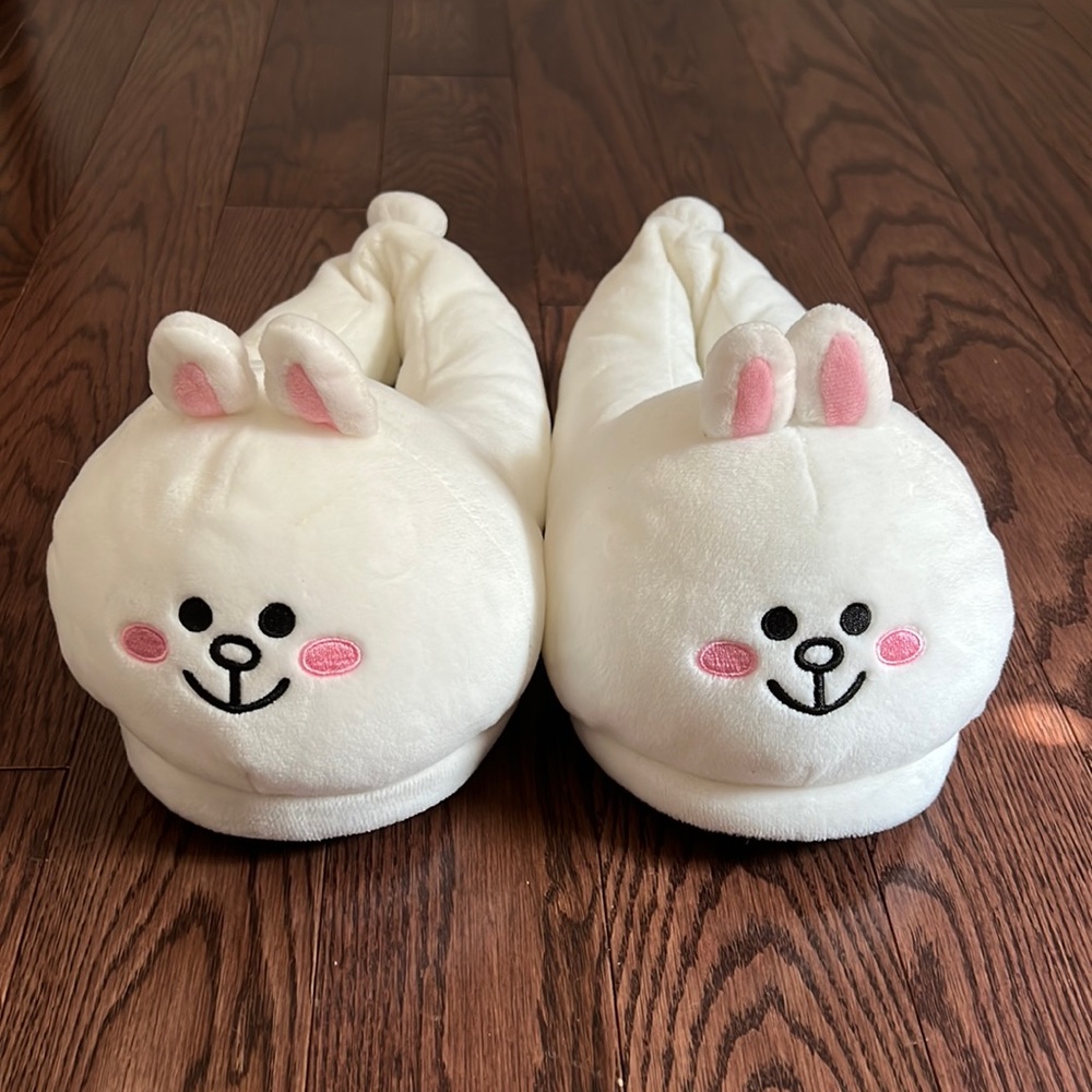 NWOT LINE FRIENDS CONY SLIPPERS